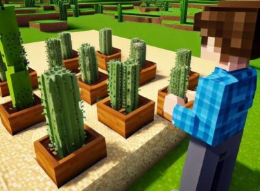 Jak zrobić farmę kaktusów w Minecraft